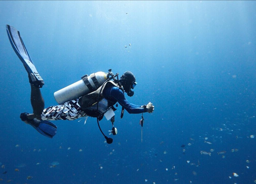 九游登录中心-包含自由潜水比赛，潜入海底的宁静世界的词条