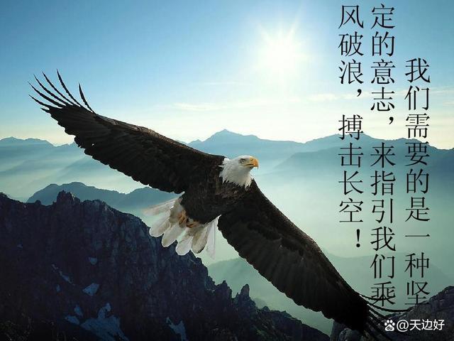 九游娱乐(jiuyou)官方网站-逆境中的信念：车手对抗不利气候的坚韧精神的简单介绍