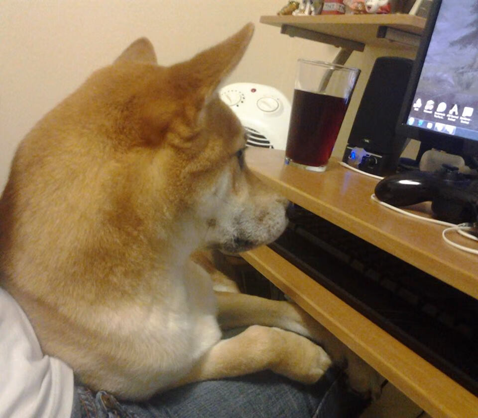 NBA传奇球星参加慈善赛,为抗击疫情贡献力量,nba慈善赛视频完整版