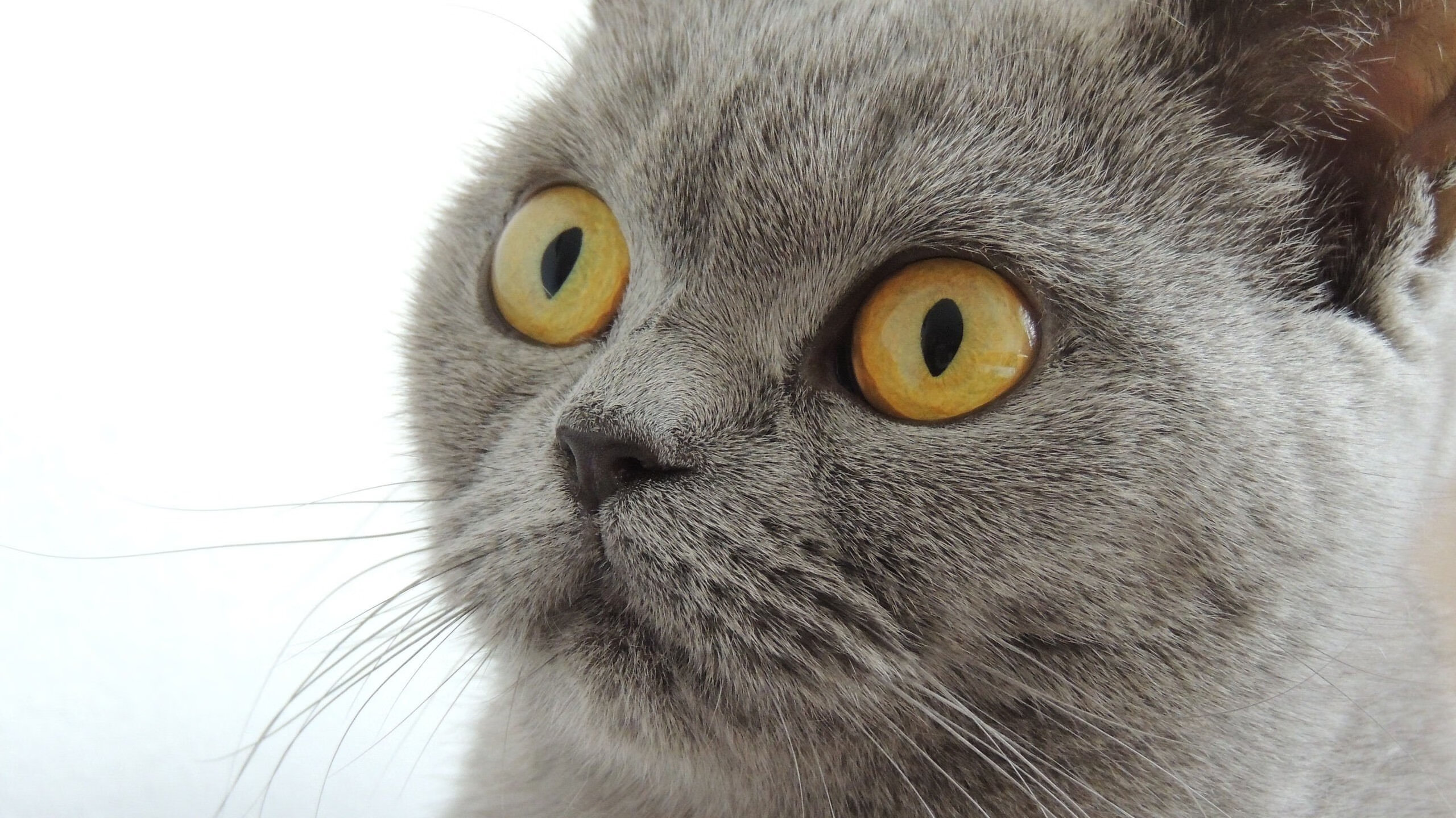 九游-堡垒之夜加入全新游戏模式，堡垒之夜最好的设置