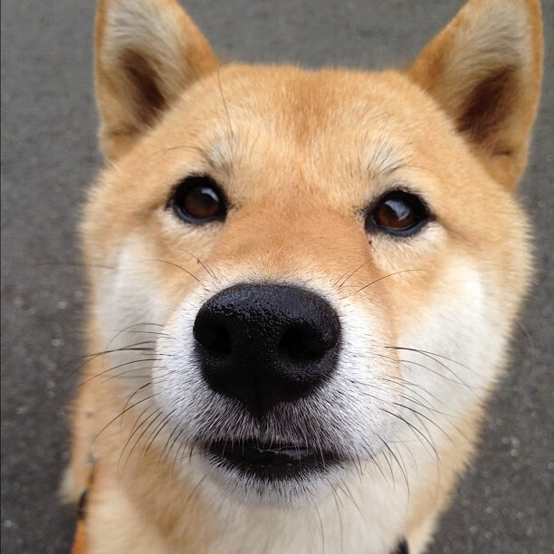 九游网页版官网-堡垒之夜引入创意工坊升级版，堡垒之夜制作组