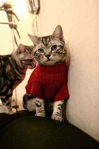 女足比赛中,中国队员王某获得最佳射手奖,2021中国女足联赛最佳射手