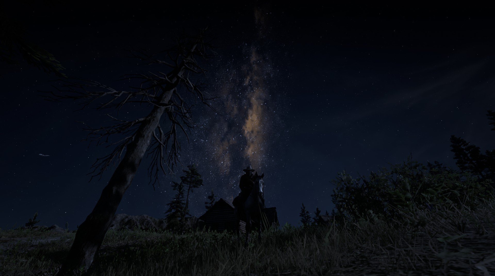 巴西马术协会与大学合作，开展马术运动营养研究，优化饮食方案。