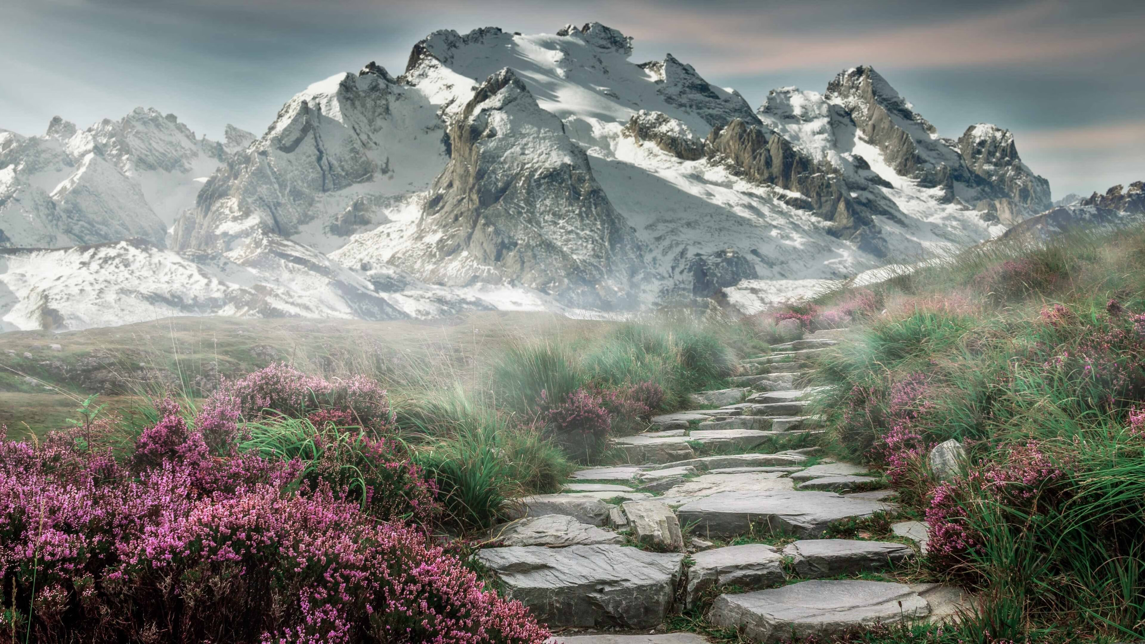 九游网页版官网入口-悉尼国王篮板球争夺激烈，悉尼国王队实力强吗