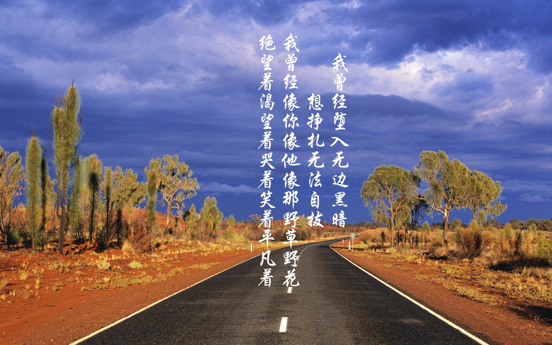 悉尼国王篮板球争夺激烈，悉尼国王队实力强吗