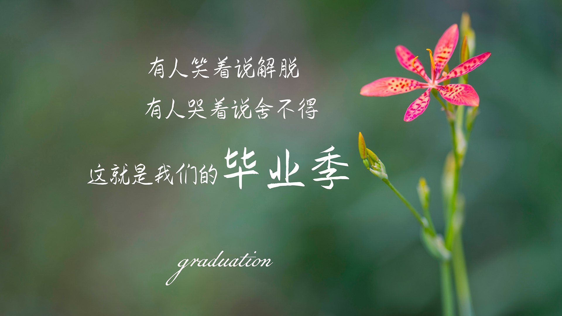 九游app下载中心-斯佩齐亚中锋爆发破门，率领球队击败对手，斯佩齐亚ds