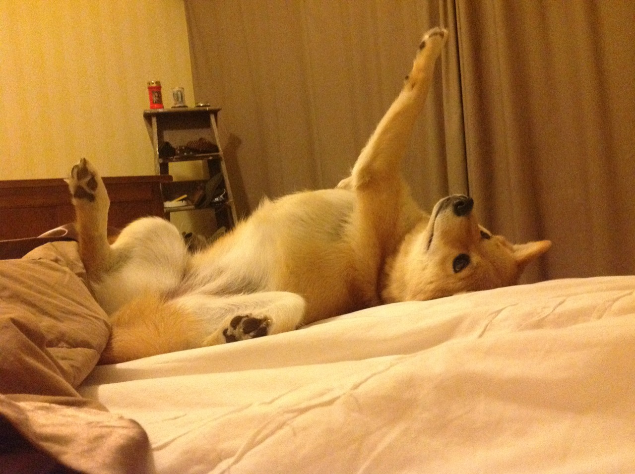 九游官网下载电脑版-火箭队连胜！詹姆斯哈登表现出色！，火箭队连胜!詹姆斯哈登表现出色吗