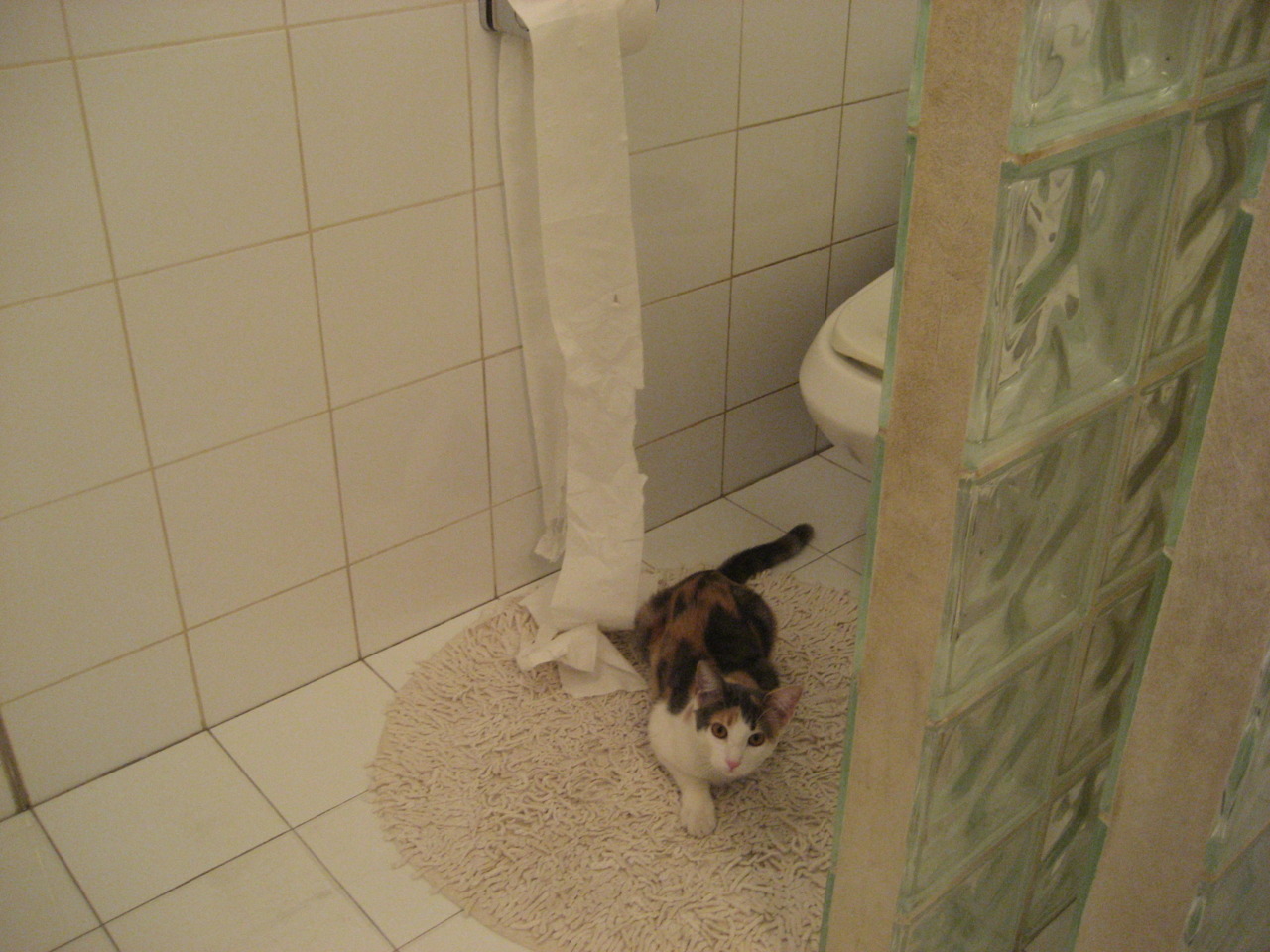 瑞典战队 GODSENT 宣布解散，选手寻找新机会，瑞典已组联赛