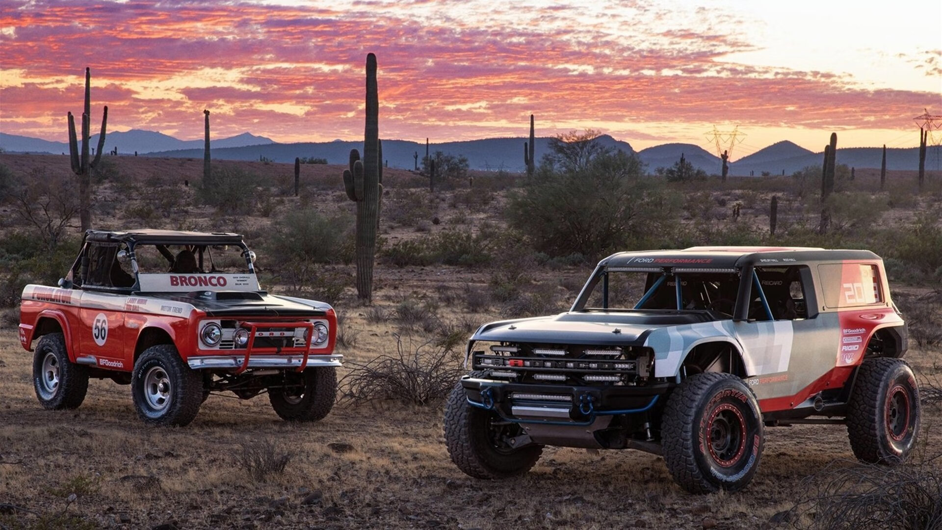 神秘的黑马崭露头角，引发关注和猜测，黑马形态