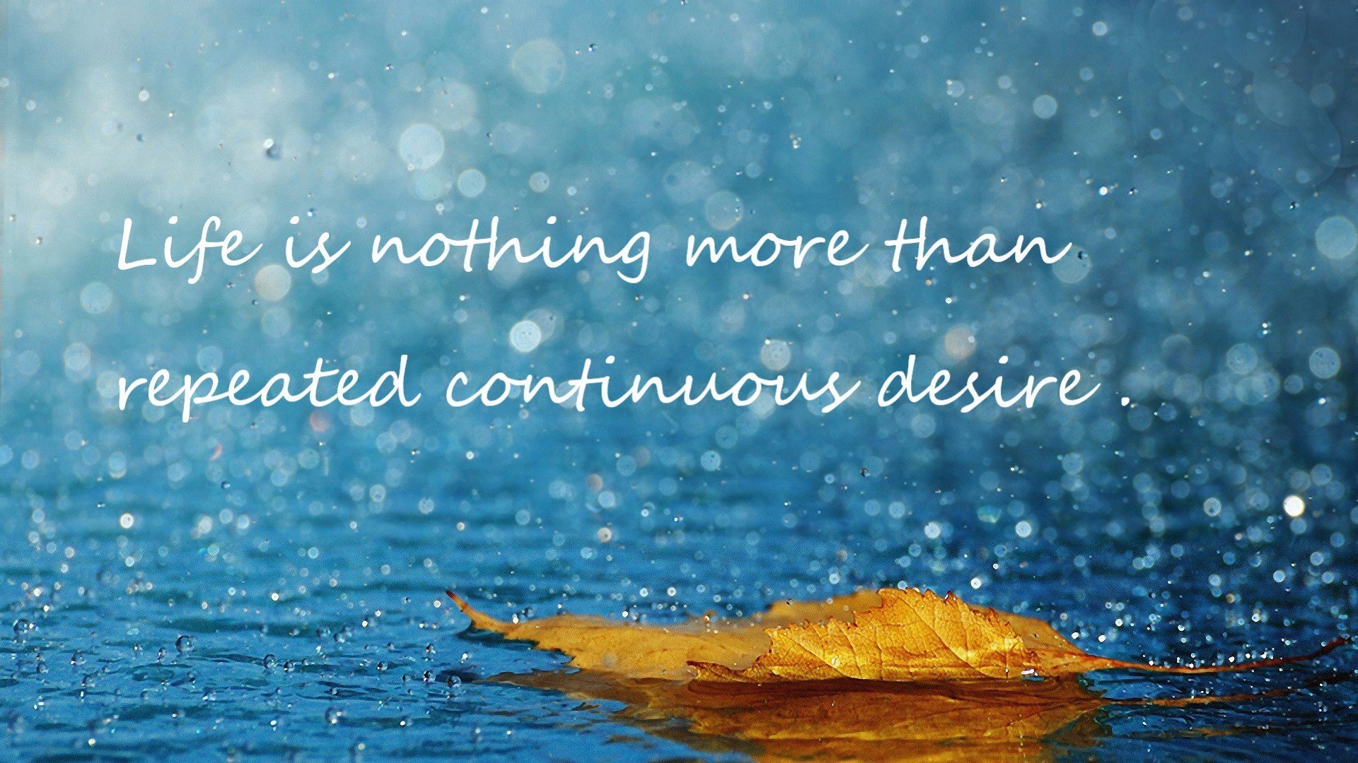 里尔再胜巴黎联合，稳固领先位置，里尔vs巴黎圣日耳曼分析