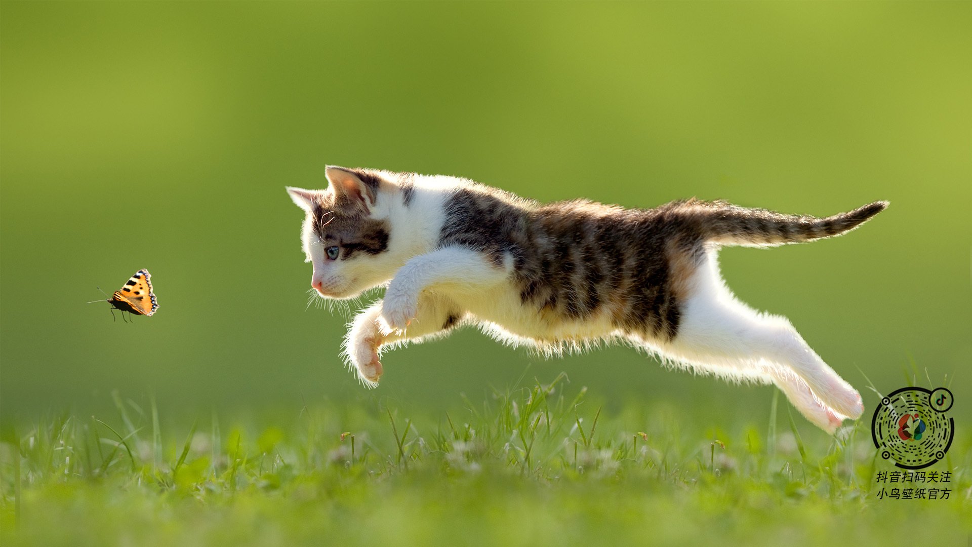 里尔客场战平里昂，延续不败纪录，里尔对里昂的比赛分析