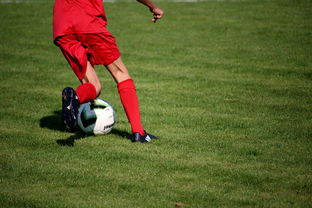 九游登录入口-篮球运动员专项技能训练课程体系创新探索，篮球专项训练方案