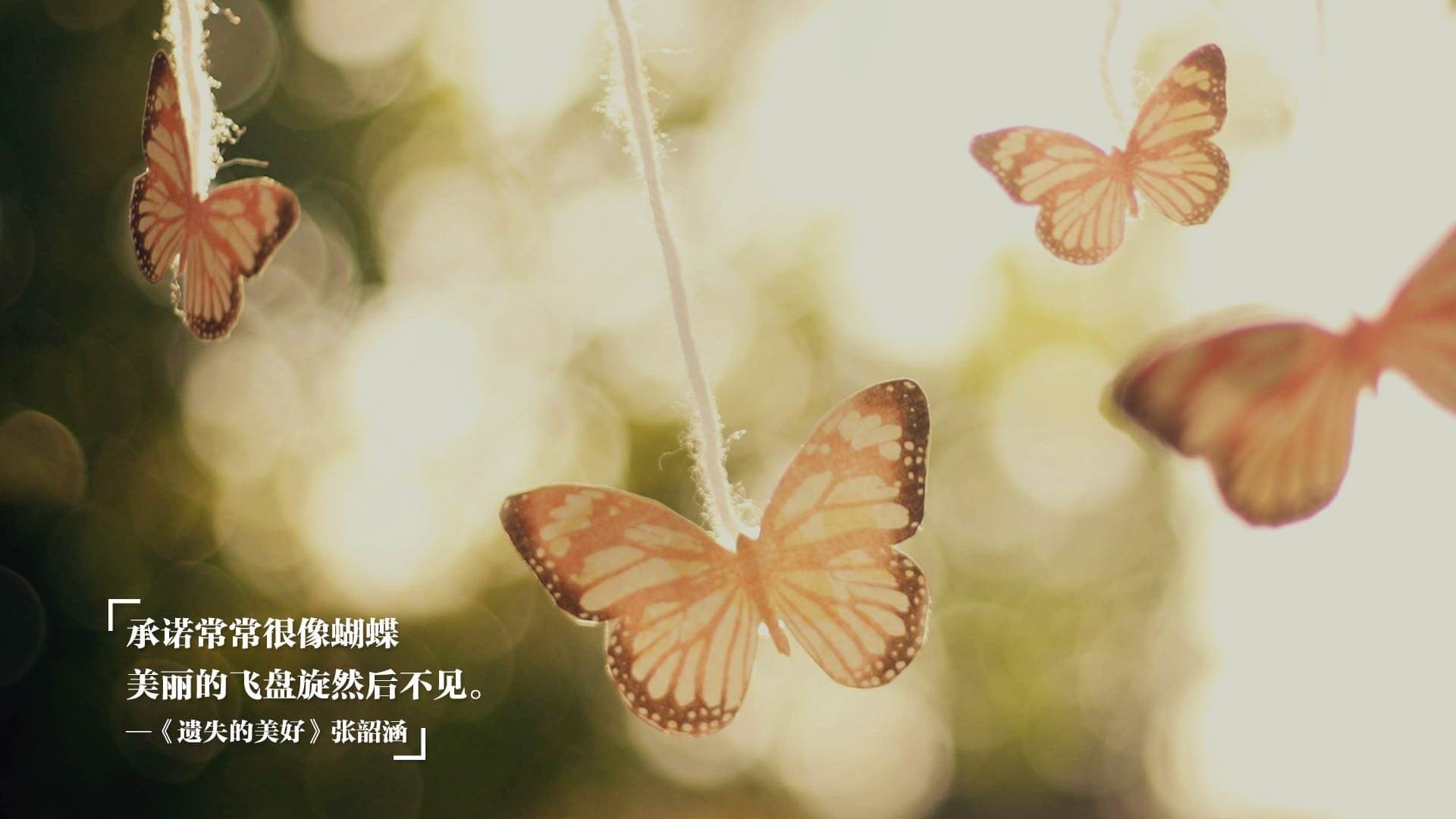 青少年体育普及与推广,青少年体育培训推广方案