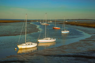 九游电脑版-兴隆湖上演“国际艇战”，多国精英争锋